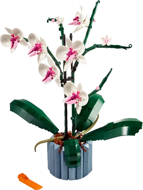 A brick-built orchid with white and pink flowers